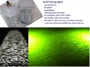 LED-underwater-fishing-lights